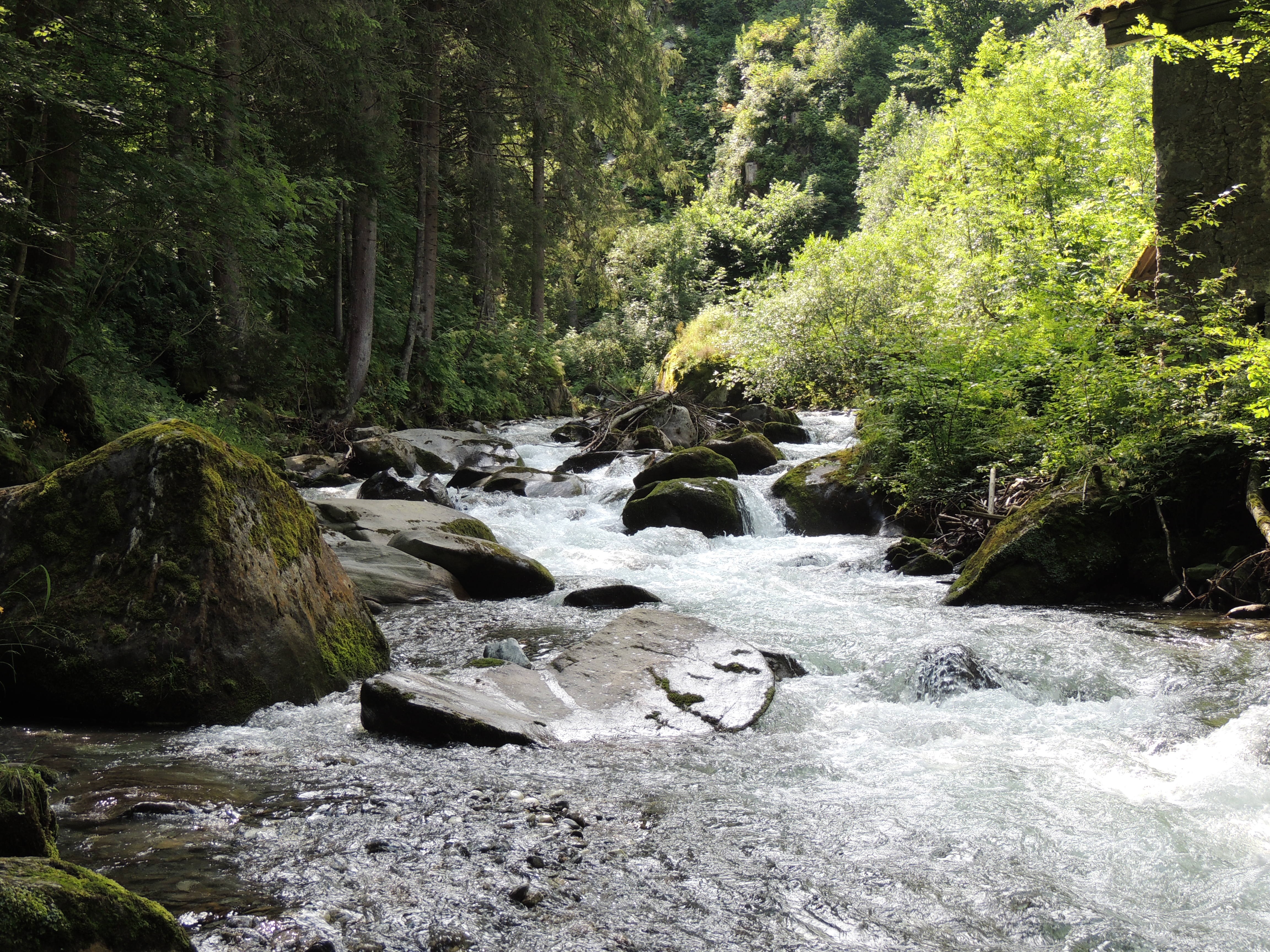 Bachlauf